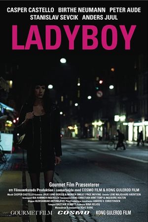 Ladyboy's poster