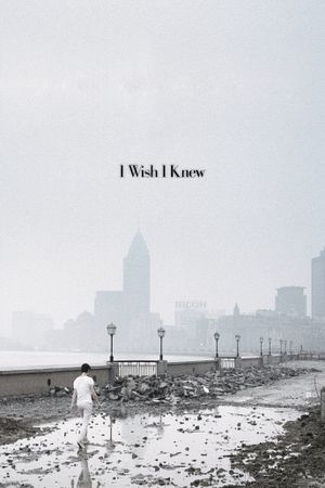 I Wish I Knew's poster
