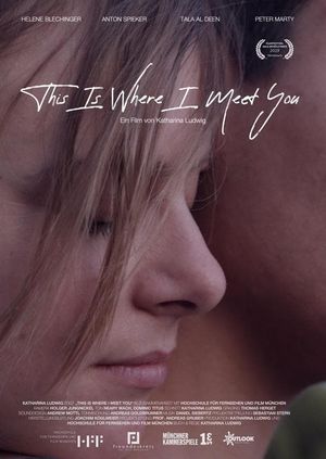 This Is Where I Meet You's poster image