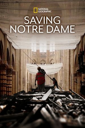Saving Notre Dame's poster