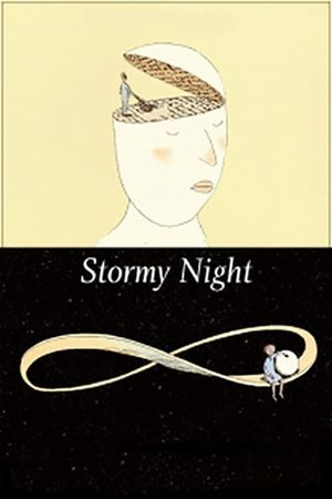 Stormy Night's poster