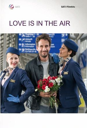 Love is in the air's poster