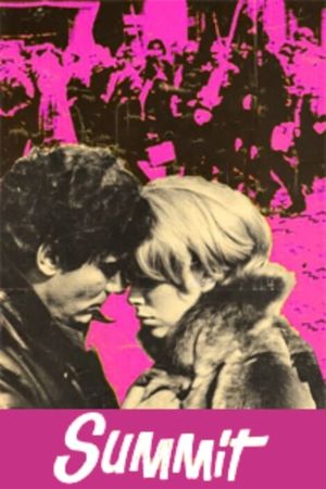 Summit's poster