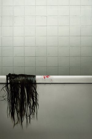 The Grudge's poster