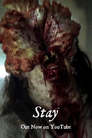 Stay's poster