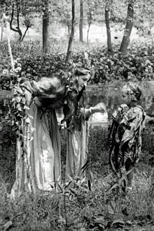 A Midsummer Night's Dream's poster