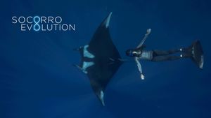 Socorro Evolution's poster