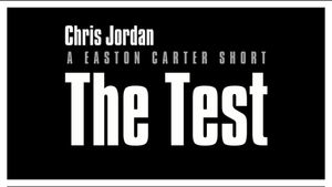 The Test's poster