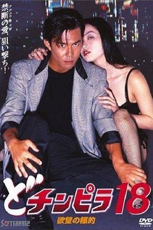 Dochinpira 18: Target of Desire's poster