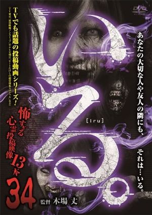 「Iru.」~ Kowasugiru Tōkō Eizō 13-hon ~ Vol.34's poster