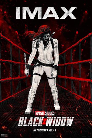 Black Widow's poster