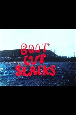 Boot Cut Slacks's poster image