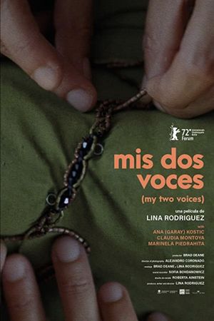 Mis dos voces's poster