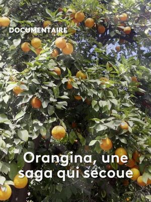 Orangina, une saga qui secoue's poster