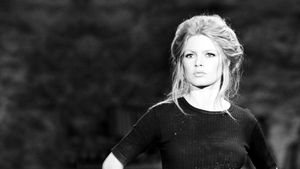 Brigitte Bardot confidentiel's poster
