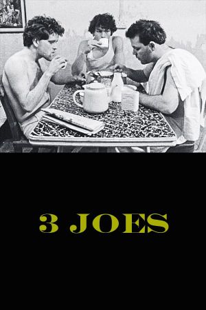 3 Joes's poster