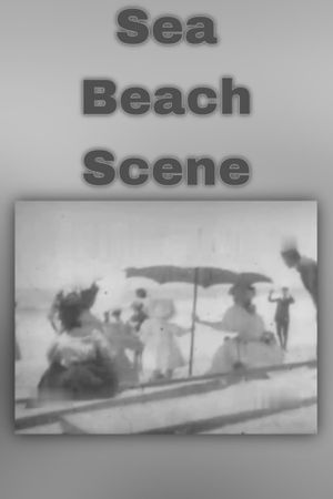 Sea Beach Scene's poster