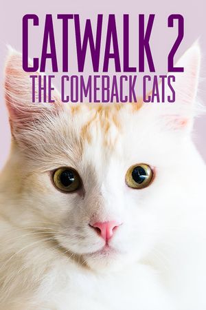 Catwalk 2: The Comeback Cats's poster