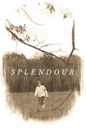 Splendour's poster