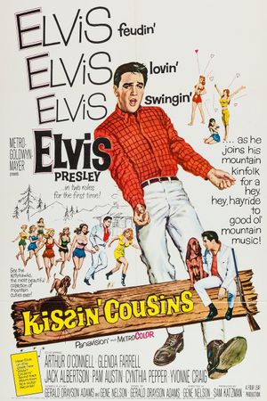 Kissin' Cousins's poster
