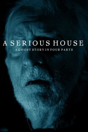 A Serious House's poster image