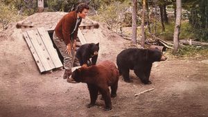 The Bears and I's poster
