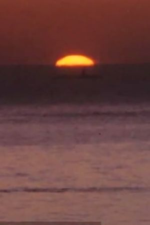 The sunset paradises's poster