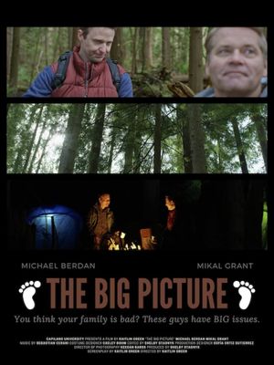 The Big Picture's poster