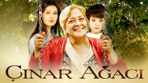 Çinar Agaci's poster