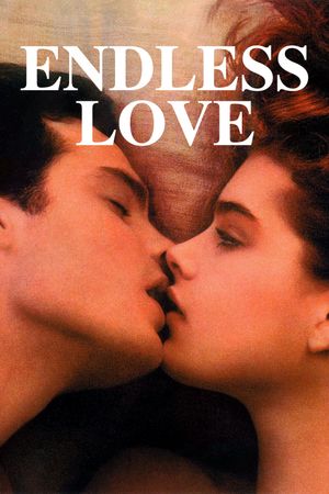 Endless Love's poster