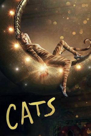 Cats's poster