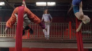 The Gymnast's poster