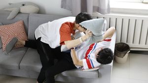 His Cat's poster