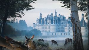 Chambord's poster