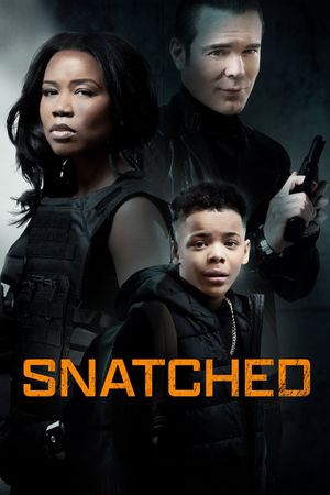 Snatched's poster