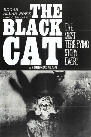 The Black Cat's poster