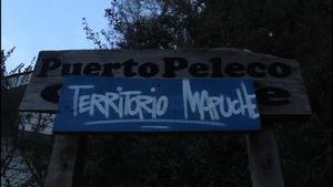Peleco Port's poster