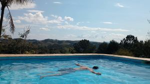 The Pool's poster
