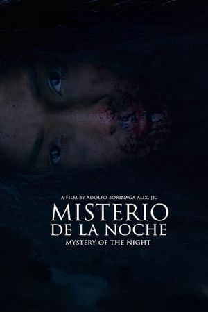 Mystery of the Night's poster