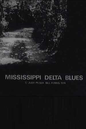Mississippi Delta Blues's poster