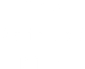 The Painted Bird's poster