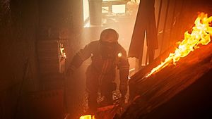 The Firefighters's poster