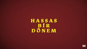 Hassas Bir Dönem - İsmail Türküsev's poster