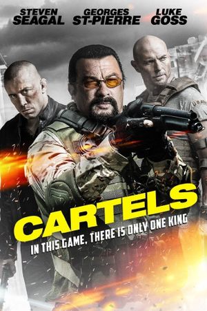 Cartels's poster