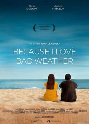 Because I Love Bad Weather's poster