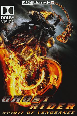 Ghost Rider: Spirit of Vengeance's poster