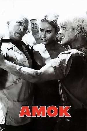 The Rape's poster