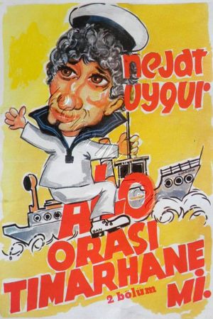 Alo Orası Tımarane mi's poster image