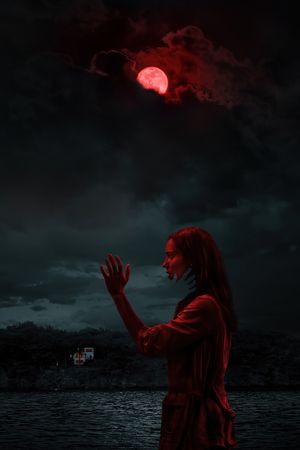 The Night House's poster