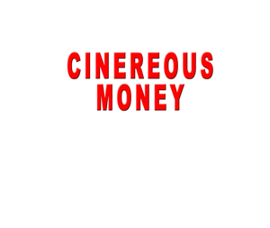 Dinero Gris's poster